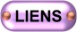 LIENS.jpg (2322 octets)
