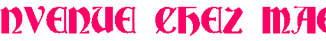 BIENVENUE_CH_28393.gif (10818 octets)