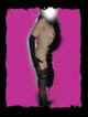 Dscn0095.cadre.vignette.JPG (5527 octets)