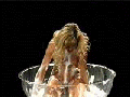 champgirl.gif (96752 octets)
